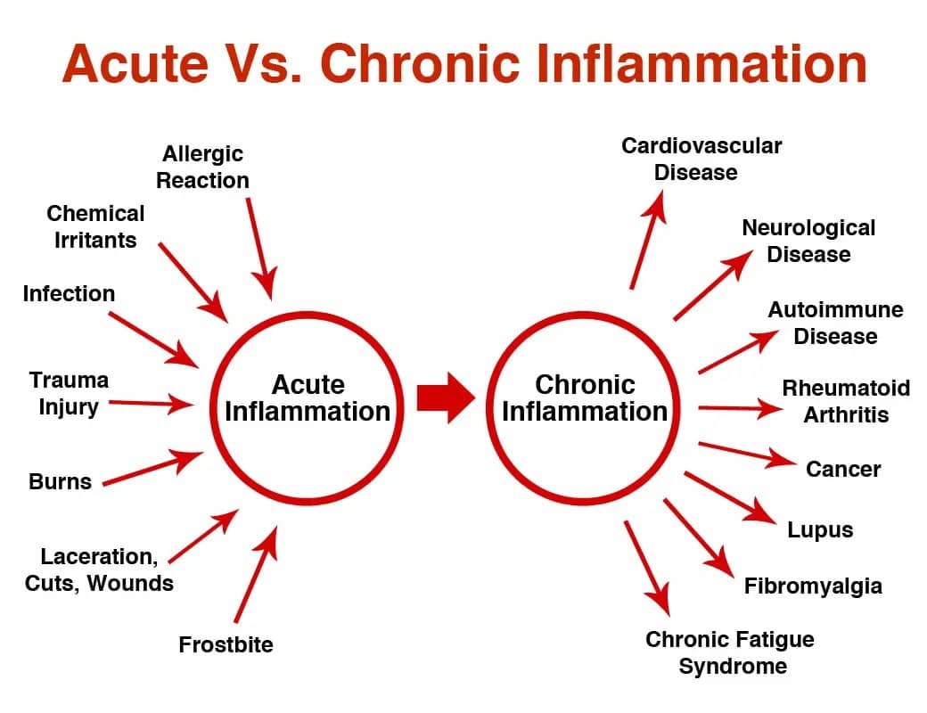 inflammation Acute Vs Chronic