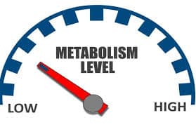 Metabolism level