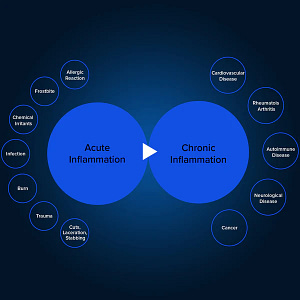 Inflammation